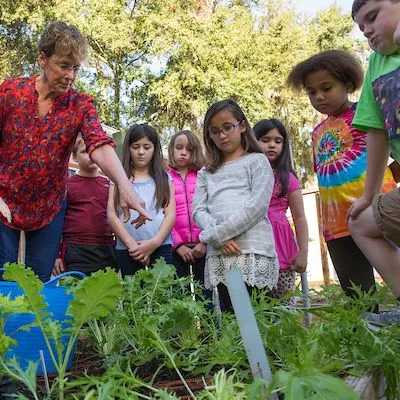 thumbnail for publication: Important Resources for the Development and Sustainability of School Garden Programs